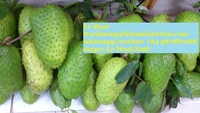 Vietnamese verse zuurzakvruchten, KME merk, ISO gecertificeerd, hoge exportkwaliteit, bulk & vacuüm verpakt, groothandelsdistributie