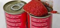 Pâte de tomate rouge naturelle doublement concentrée certifiée ISO, emballage en fût de 228 kg, sauce pour pâtes et pizzas, échantillon gratuit expédié au Ghana