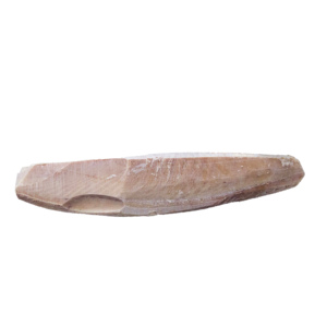 מפעל ישירות קפוא בוניטו הטונה חלציו קפוא skipjack טונה ירך עם באיכות גבוהה עבור שימורים תעשייתי - Product Image 3