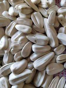 Semillas de Girasol Secas Blancas 100% Puras y Naturales de Egipto - Product Image 5