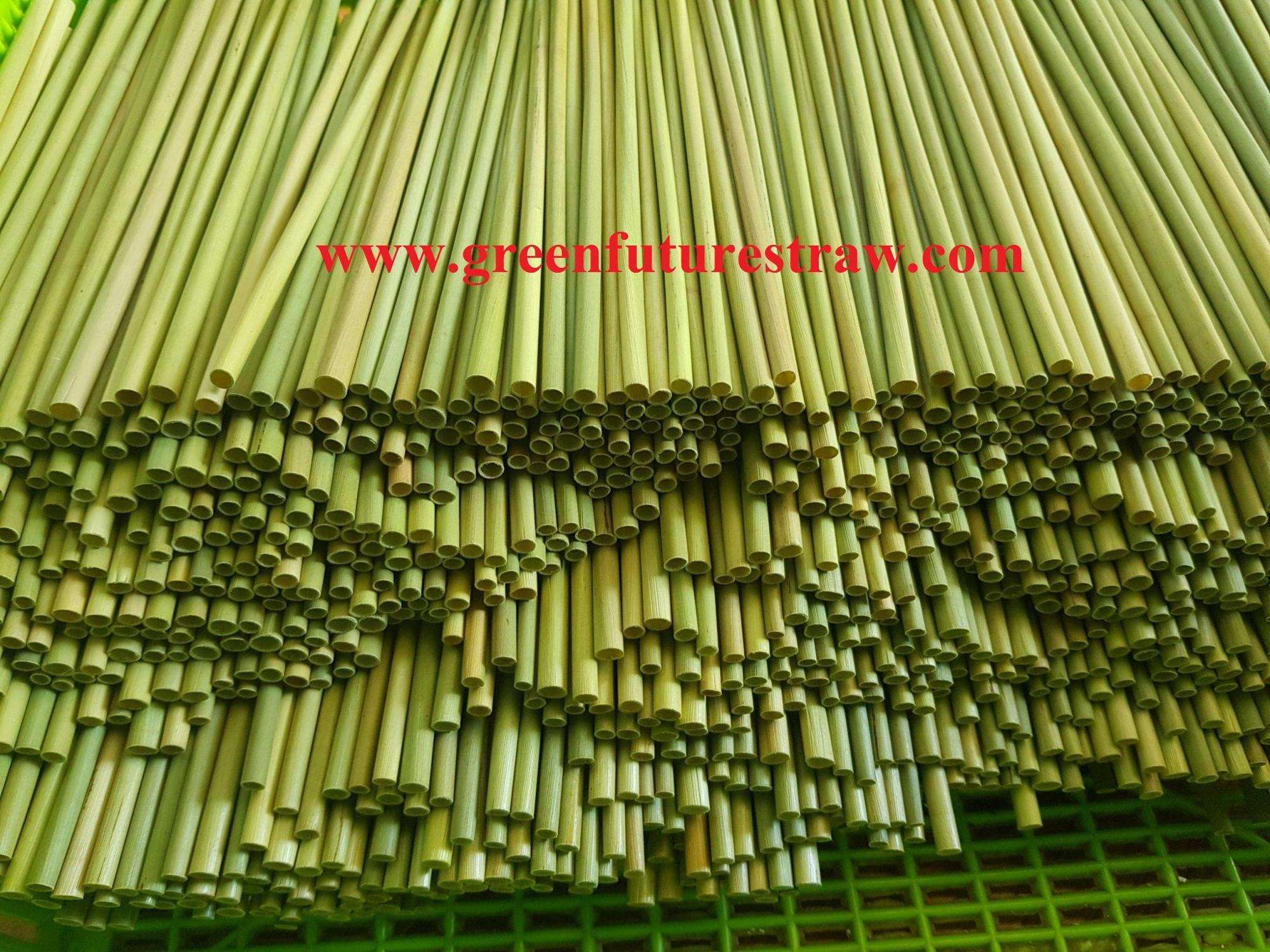 สีเขียวอ่อน