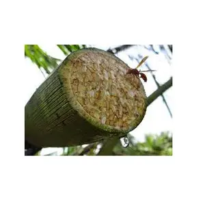 100% натуральный кокосовый нектар сироп кокосовый сахар для подачи энергии из Вьетнама по разумной цене