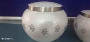 White Odyssey Pet Cremación Urna Brassworld India's Funeral Supplies - Product Image 4