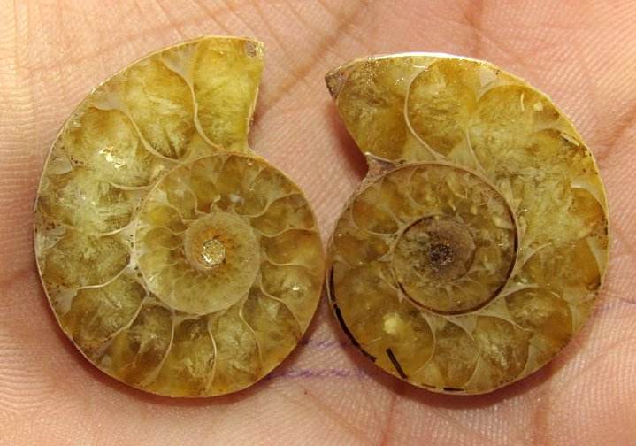 เหมือนกับภาพ