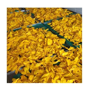 Mango deshidratado de alta calidad hecho en Vietnam - Product Image 2