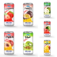 Premium 240ml Natuurlijk gearomatiseerde watermeloen fruitsap puree in fles Private Label merk Geblikte dranken ISO gecertificeerd