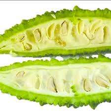 Huile de transporteur de gourde amère en vrac de meilleure qualité pour l'aromathérapie Prix raisonnable exportateur - Product Image 5