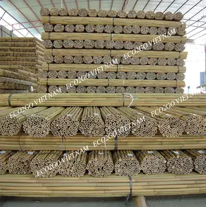 Penjualan Terbaik 2024 tiang bambu/tongkat bambu/tiang bambu berkebun Tonkin dengan ukuran disesuaikan dibuat di Eco2go Vietnam