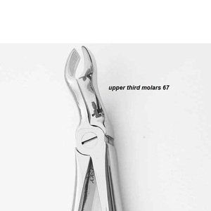 แยกคีมกรามบนสามฟันกราม67 - Product Image 3