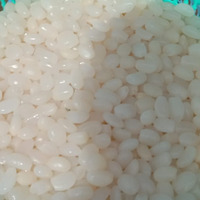 Indonesische Kaong Palm Moer Fruit Suiker Palm Beste Kwaliteit Direct Factory Fabrikant Nieuwe Seizoen