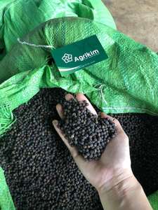 Nueva cosecha de especias de pimienta negra de Vietnam, hierbas secas y semillas, sabor caliente crudo de alta calidad al mejor precio - Product Image 6