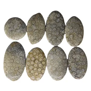 Jasper Stone Natural Coral jasper cabochon Top Designer Natural loose semi precious stone wholesale loose