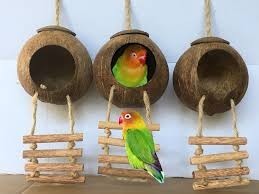 Casa para Pájaros Hecha a Mano con Cáscara de Coco – Nido Ecológico y Natural para Decoración de Jardín - Product Image 6