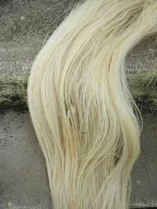 Fibras de Sisal Naturales Hechas a Mano Disponibles en Bolsas de 1 kg, Aptas para Tiendas de Fibra y para Proyectos Escolares y Universitarios - Product Image 3