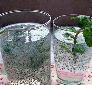 Vente en gros d'épices séchées de haute qualité Sabja/Basilic Herb Export Traitement des matières premières Granule séché Motif Contacter Shyn Tran - Product Image 5