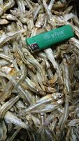 Anchois séchés de qualité supérieure - IQF surgelés en morceaux naturels - Emballage sous vide/sac/boîte - Linda W/S 0084 9289 322 607