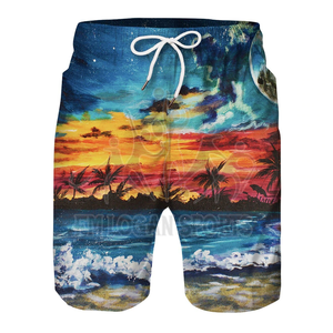 Pantalones cortos deportivos para hombre, ropa informal de playa con estampado 3D, ropa de verano, pantalones cortos de sublimación - Product Image 5