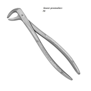 การสกัดคีมกรามล่าง75 - Product Image 5