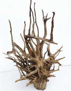 ซากไม้ตู้ปลา - Product Image 5
