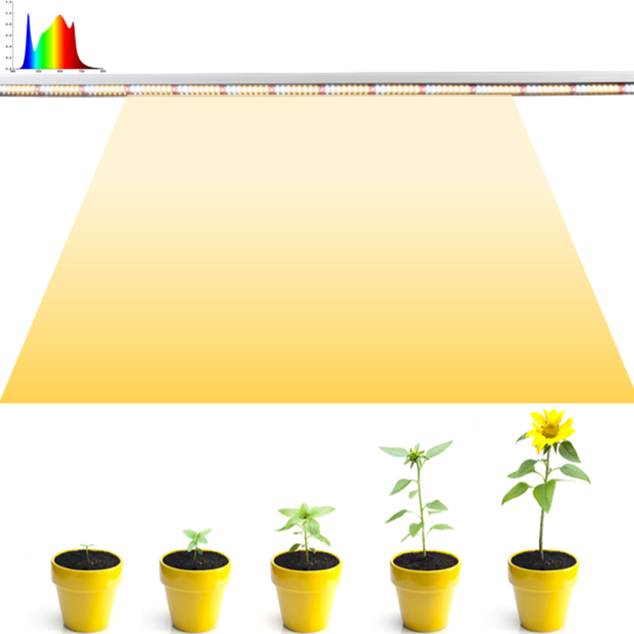 Seven Magic T8-120cm-40W全光谱LED植物生长灯 - 专业植物照明解决方案 | Full Spectrum LED Plant Grow Light