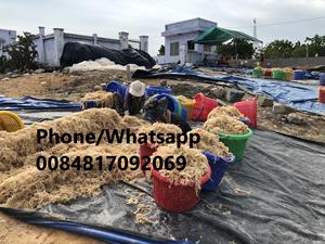 ขายส่งทะเลมอสส์ Bladderwrack/ไอริช Seamoss/ แห้ง Chondrus Crispus No Salt Irish Moss Wildcrafted 0084817092069 WS - Product Image 3