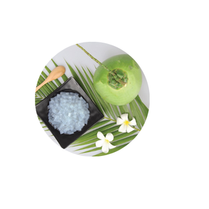 ขนมเยลลี่มะพร้าวส่งออกจากไทย Nata de COCO จากเวียดนามในราคาที่แข่งขันได้ /mr.lucas - Product Image 1