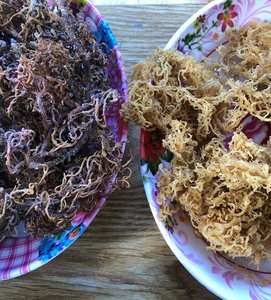 Raw <b>Sea</b> <b>Moss</b> for Making <b>Sea</b> <b>Moss</b> <b>Gel</b>/ Wholesale <b>Irish</b> SeaMoss/ Dried Eucheuma Cottonii Ms. Lily - Product Image 2