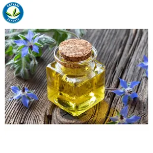 Olio essenziale di borragine puro e naturale di qualità superba più venduto per l'intera vendita Suppler