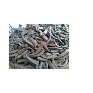 Puntas de cuerno de búfalo real y artesanía de fabricante de alta calidad a granel cuerno de buey de búfalo Punta de cuerno de vaca y rollo mejor venta - Product Image 2