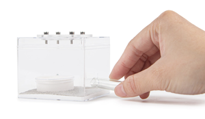 มดเลี้ยงผลิตภัณฑ์มดพลาสติกใสเก็บกล่อง - Product Image 5