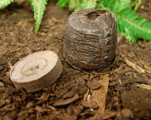Disques de noix de Coco, pièces, granulés de tarte écologiques - Product Image 4