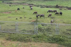 Guardails พรีเมี่ยมสำหรับวิธีด่วน - Product Image 5