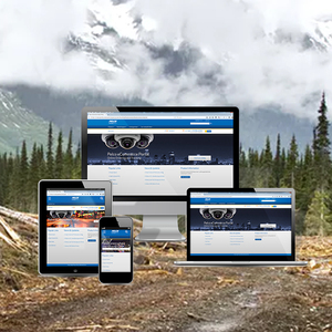 Custom PHP programming & Website Development Company | Best Website Design Company | Website Development Services by Webroot - Product Image 5