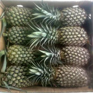 Piña congelada, WHATSAPP/cuenta: + 84 387687068