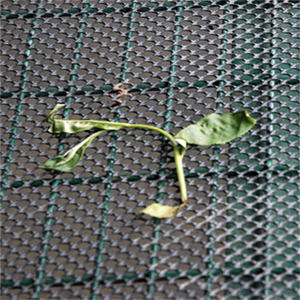 Le plant protection filets - Product Image 4