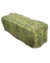 ขายส่งอาหารสัตว์ Alfalfa Hay - Product Image 5