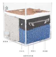 Maison d'éléphants classique en plastique transparent confortable et écologique, accessoires et fournitures pour fourmis, 9x9x14cm, toutes saisons