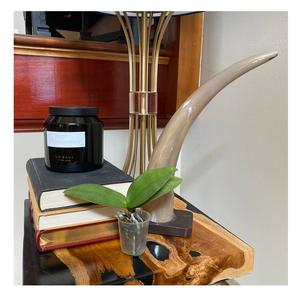 Cuerno decorativo de búhos para vajilla y diseño moderno, forma de cuerno natural, cuerno decorativo de mesa con jarrón de madera, en venta - Product Image 5