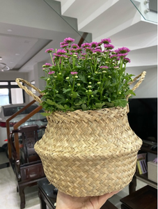 Cesta de mimbre tejida para almacenamiento, maceta, cesta para ropa sucia y cesta para compras con asa, venta al por mayor, exportación de fábrica de Vietnam - Product Image 1