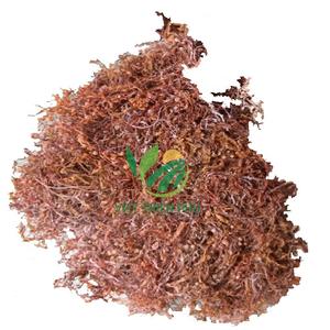 2021 Vietnam Sargassum Seaweed Powder Supplement for Horses and Pigs <b>Animal</b> <b>Feed</b> - Product Image 2