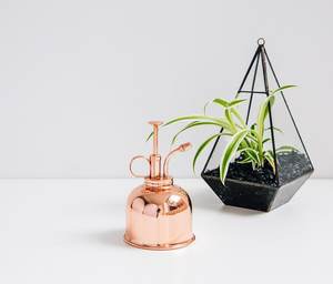 MEILLEURE QUALITÉ TOP DESIGN BON LOOK MINI ORCHIDÉE MISTER PULVÉRISATEUR POUR PLANTES DE JARDIN - Product Image 2