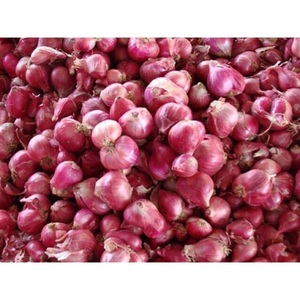 THE BEST QUALIFY FRESH <strong>ONION</strong> for EXPORT ORIGIN VIET NAM - Product Image 6
