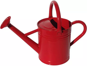 Regadera de hierro para interior y exterior, maceta de riego para jardín, maceta de Metal de acabado galvanizado decorativo - Product Image 2