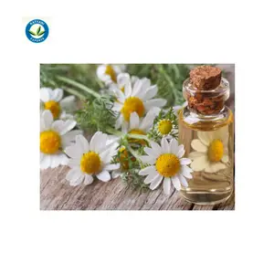 Worldwide Selling 100% Pure and Natural Chamomile Oil For Whole Sale Supplier