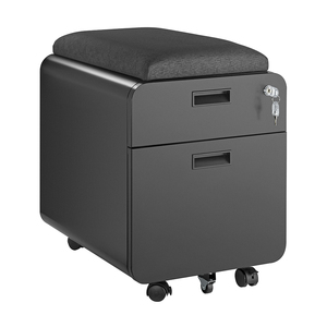 Steel Filing Cabinet Steel Office Furniture 2 Drawer Sliding Door Locking Mobile Steel Filing Cabinet File Cabinet With Cushion