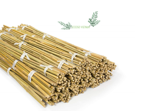 Bâton de bambou naturel et durable pour le jardin/plante de support de bâton de bambou pour une utilisation à l'agriculture Made in Eco2goVietnam - Product Image 5