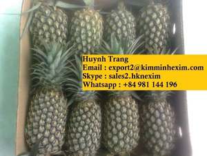 VIETNAM fruits d'ananas frais (WHATSAPP: + 84 981 144 196) - Product Image 2