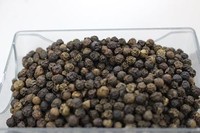 Zwarte peper 1000kg Gedroogd ISO gecertificeerd Premium Kwaliteit Vietnamese Fabrikant AGRIKIM Lage Prijs 1 Ton MOQ +84 368591192