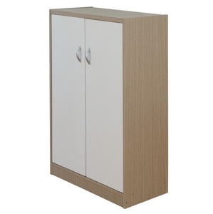 Modern double door <b>shoe</b> cabinet for living room - Product Image 2