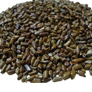 Graines de TORA, fuchsia de haute qualité, ensemble - Product Image 1